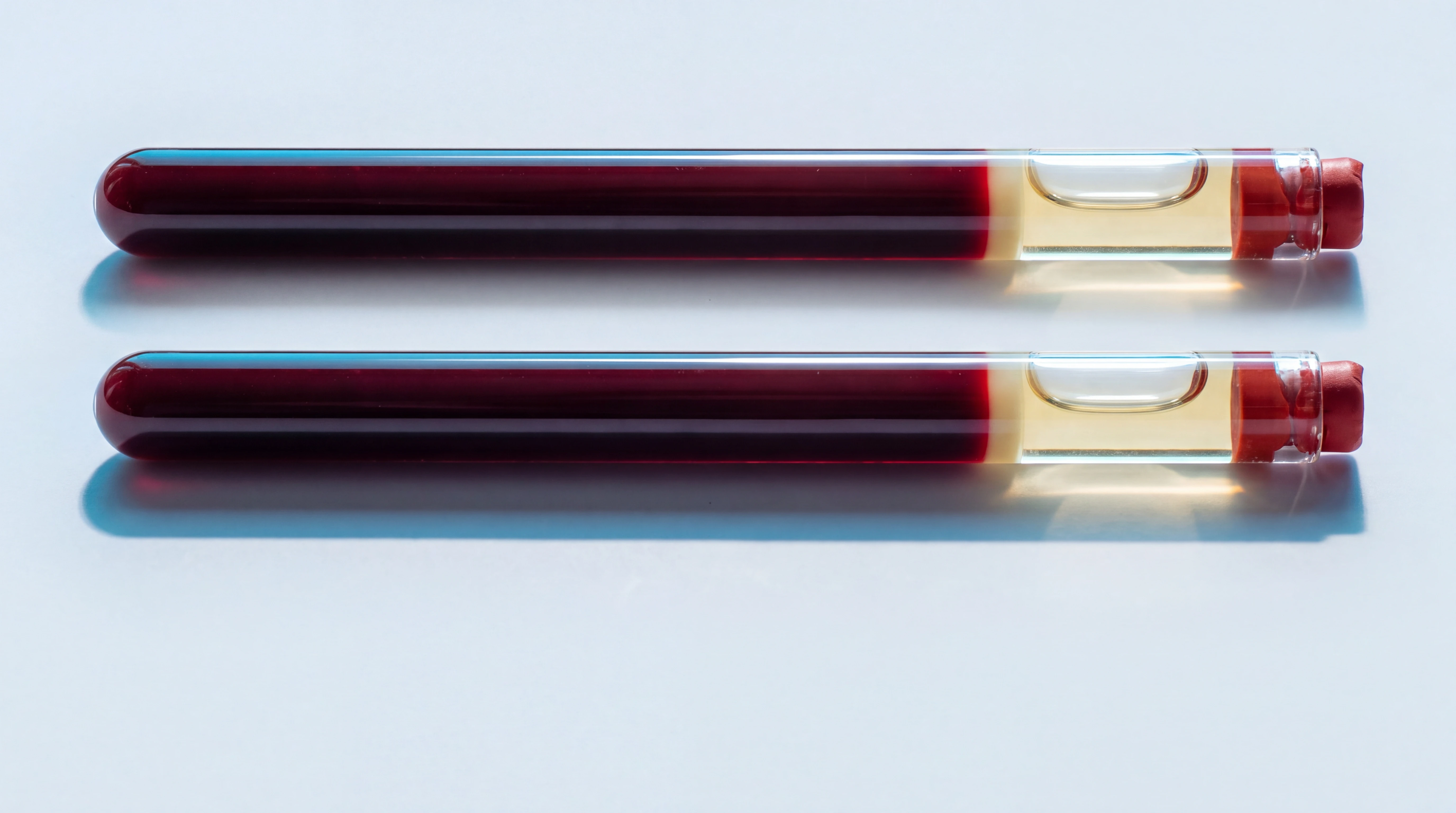 Macro photograph of a hematocrit capillary tube with the packed red cell column clearly separated