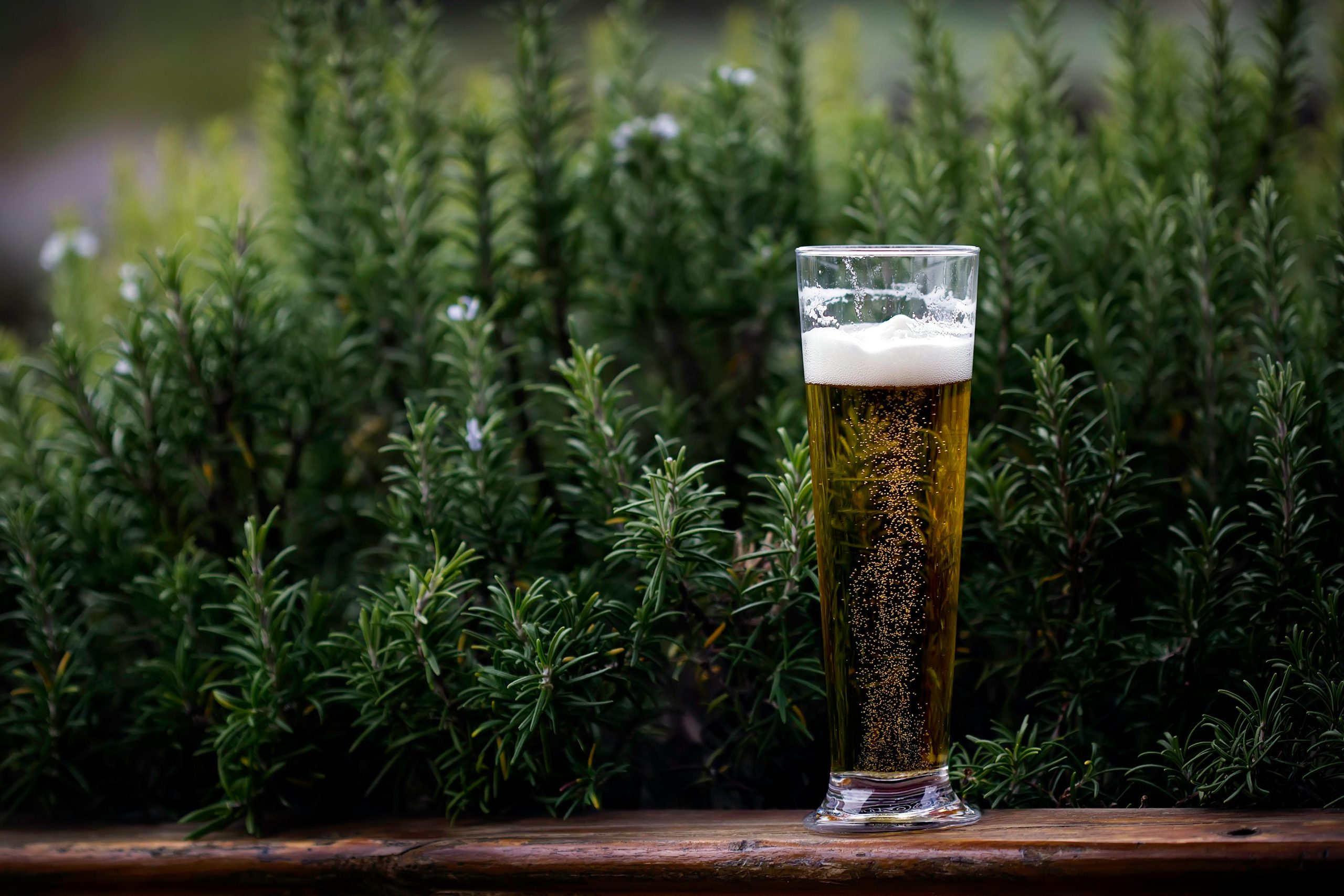 Glass of alcohol